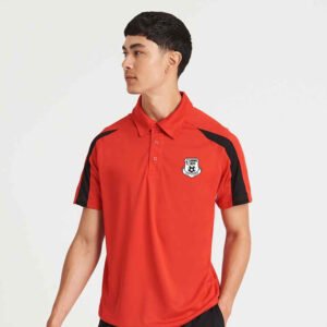 Dual Toned Polo